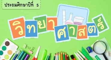 คอร์สติวเพิ่มเกรด วิชาวิทยาศาสตร์ ระดับชั้นป.5 ปีการศึกษา 2565